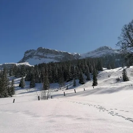 Huettboedeli *